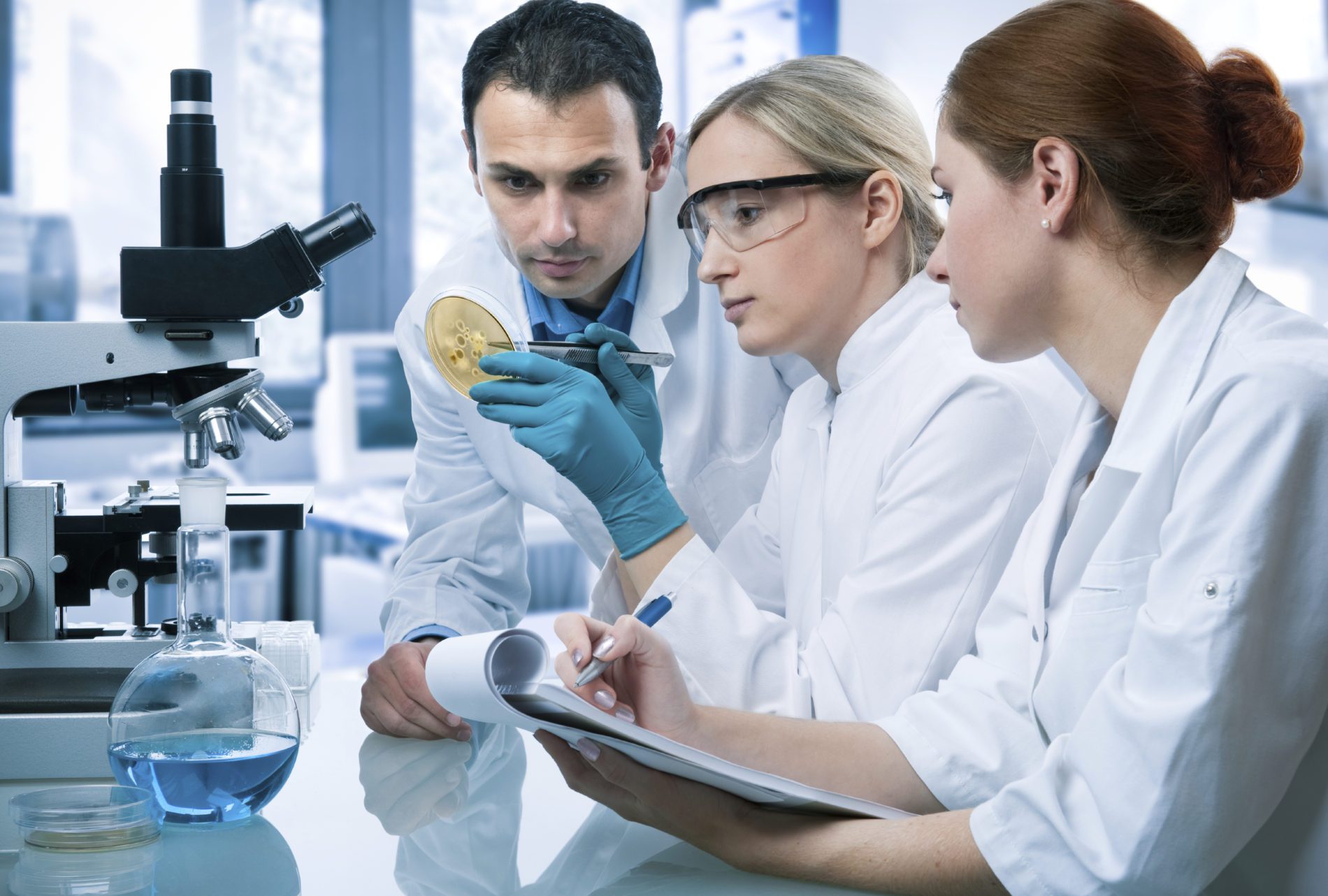 Blend science and business with an M.S. in Biotechnology Advance Your