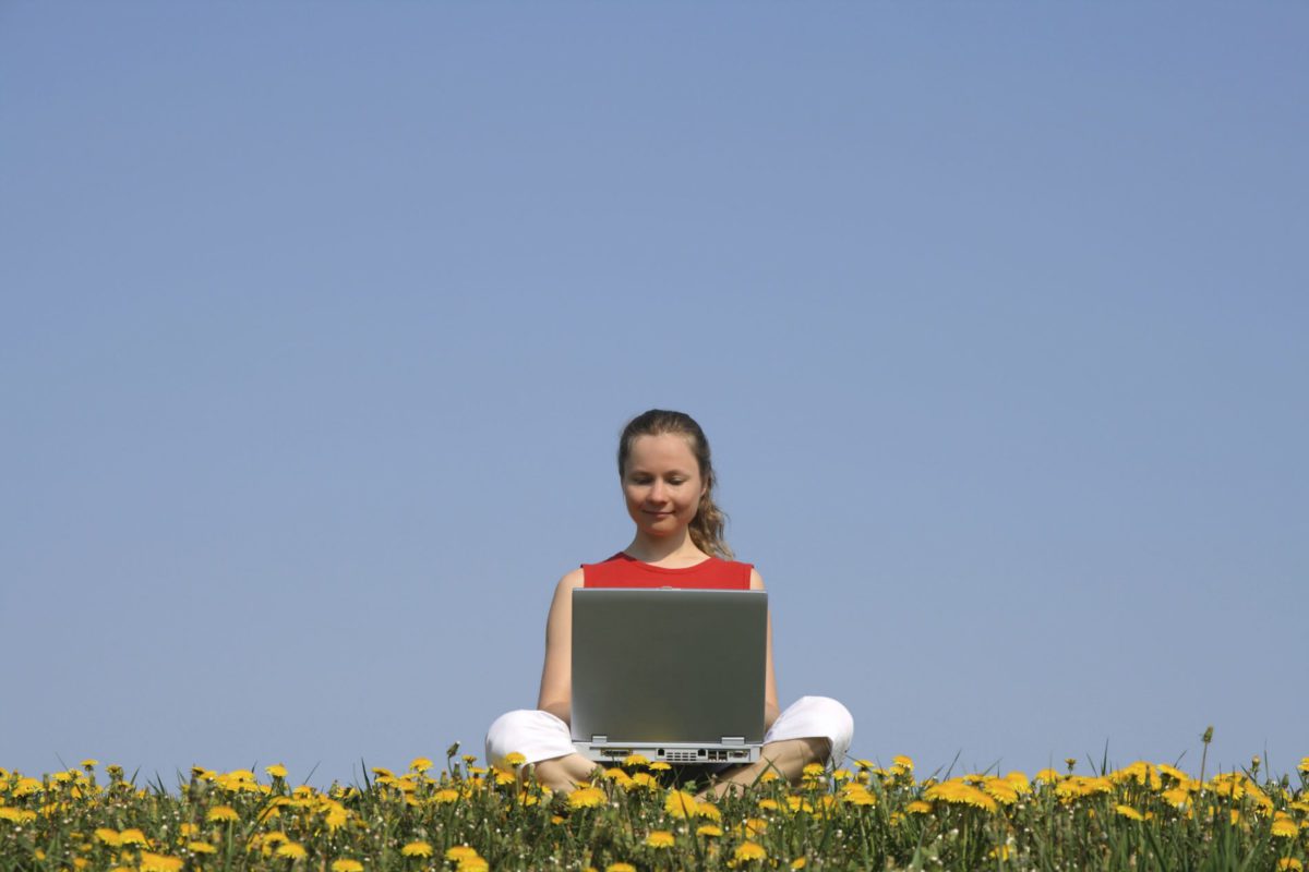 woman sitting in a field of dandelions working on a laptop