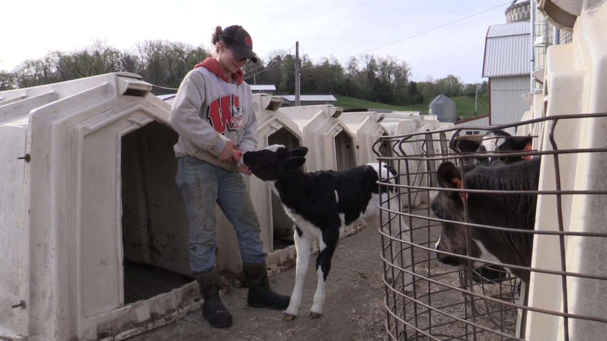 Lindsey Rettenmund feeding a calf