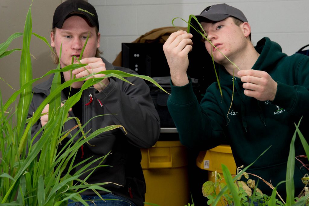 Students in the Farm & Industry Short Course weed lab.
