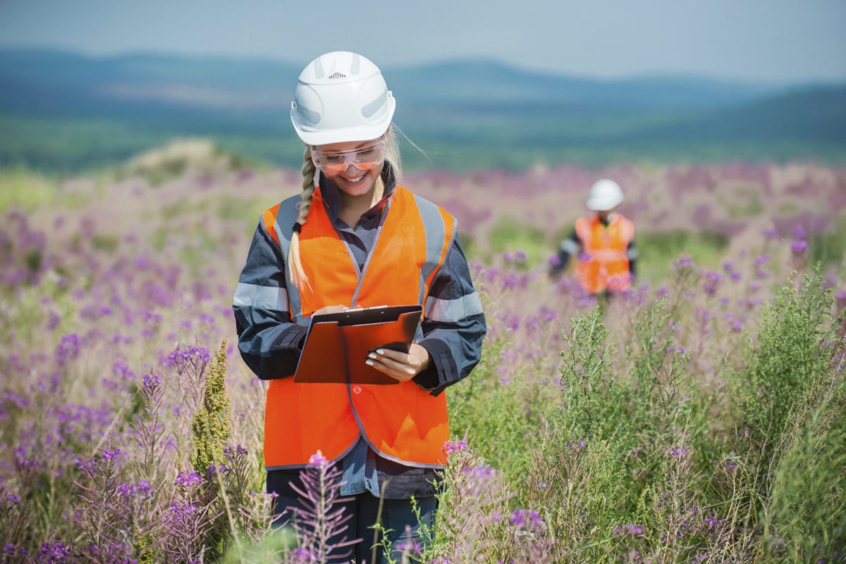 Woman in hard hat researches in a lavender field.