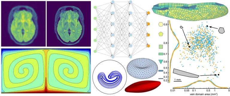 Collage of various brain scans and charts