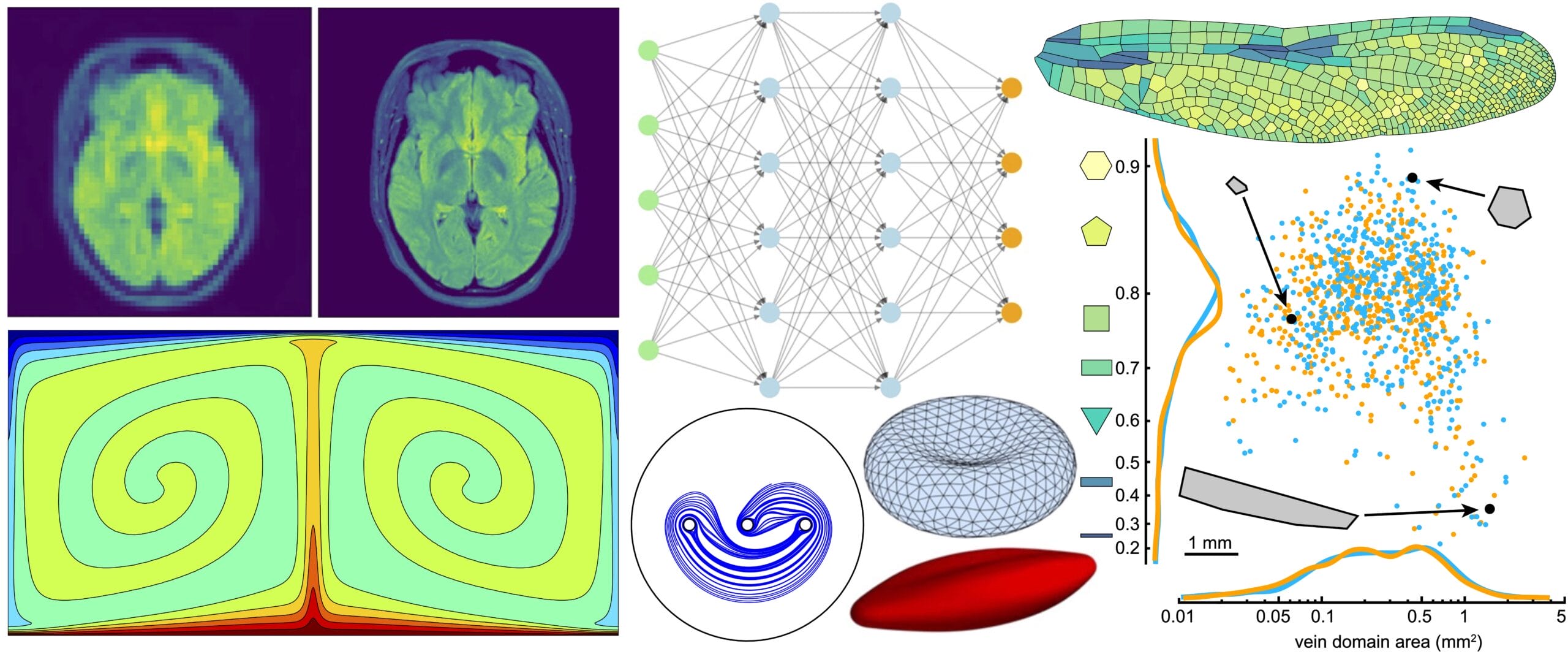 Collage of various brain scans and charts