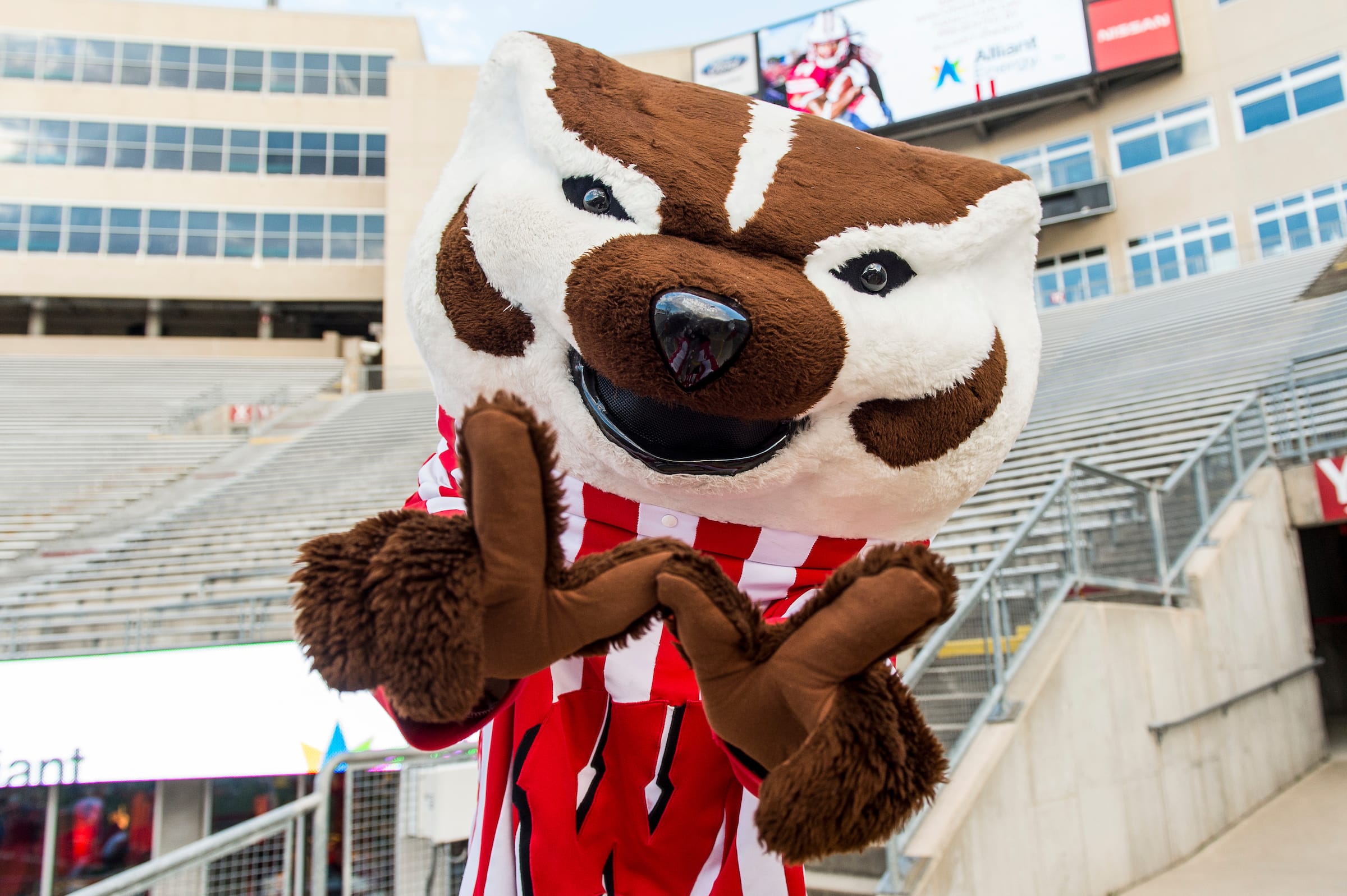 Bucky Badger posing at the camera, forming a "W" with their hands.