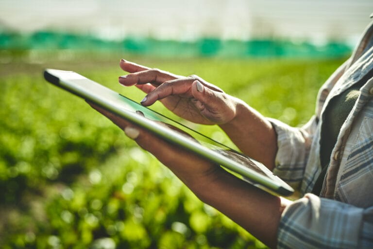 Woman working in Environmental Conservation using tablet in a field of plants